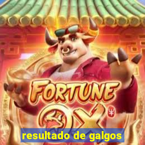 resultado de galgos